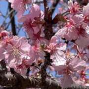 ヒメ日記 2026/03/06 11:40 投稿 あいか ふぞろいの人妻たち