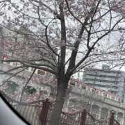 ヒメ日記 2026/03/23 13:20 投稿 あいか ふぞろいの人妻たち