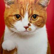 ヒメ日記 2026/04/28 07:31 投稿 あいか ふぞろいの人妻たち