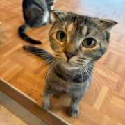 ヒメ日記 2026/08/20 13:11 投稿 あいか ふぞろいの人妻たち
