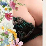 ヒメ日記 2025/06/02 09:01 投稿 せりな ふぞろいの人妻たち