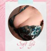 ヒメ日記 2025/08/31 08:20 投稿 せりな ふぞろいの人妻たち