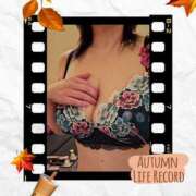 ヒメ日記 2025/11/03 08:30 投稿 せりな ふぞろいの人妻たち