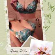 ヒメ日記 2026/03/15 08:40 投稿 せりな ふぞろいの人妻たち