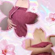 ヒメ日記 2026/03/30 08:50 投稿 せりな ふぞろいの人妻たち