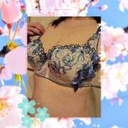 ヒメ日記 2026/04/02 08:50 投稿 せりな ふぞろいの人妻たち