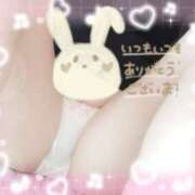 ヒメ日記 2025/03/27 09:33 投稿 もえな モアグループ川越人妻花壇