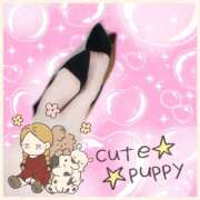 ヒメ日記 2025/04/01 19:31 投稿 もえな モアグループ川越人妻花壇