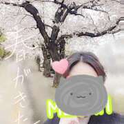 ヒメ日記 2025/04/08 08:27 投稿 もえな モアグループ川越人妻花壇