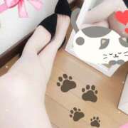 ヒメ日記 2025/04/11 13:00 投稿 もえな モアグループ川越人妻花壇