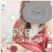 ヒメ日記 2025/04/18 08:30 投稿 もえな モアグループ川越人妻花壇