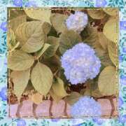 ヒメ日記 2025/05/25 08:57 投稿 もえな モアグループ川越人妻花壇