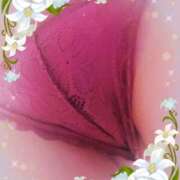 ヒメ日記 2025/09/03 11:21 投稿 もえな モアグループ川越人妻花壇