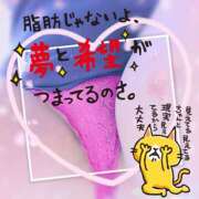 ヒメ日記 2025/09/14 19:40 投稿 もえな モアグループ川越人妻花壇