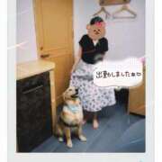 ヒメ日記 2025/10/17 09:06 投稿 もえな モアグループ川越人妻花壇