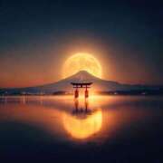 ヒメ日記 2025/11/12 07:30 投稿 もえな モアグループ川越人妻花壇