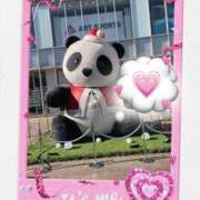 もえな パンダさんもクリスマＶｅｒ モアグループ川越人妻花壇