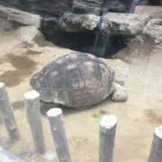 ヒメ日記 2025/12/18 12:30 投稿 もえな モアグループ川越人妻花壇