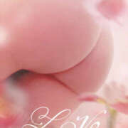 ヒメ日記 2026/01/10 16:30 投稿 もえな モアグループ川越人妻花壇