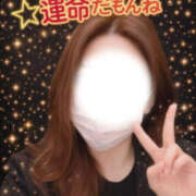 ヒメ日記 2026/02/15 08:37 投稿 もえな モアグループ川越人妻花壇