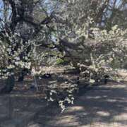 ヒメ日記 2026/02/20 15:04 投稿 もえな モアグループ川越人妻花壇