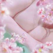 ヒメ日記 2026/02/21 08:30 投稿 もえな モアグループ川越人妻花壇