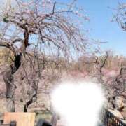 ヒメ日記 2026/02/22 08:30 投稿 もえな モアグループ川越人妻花壇