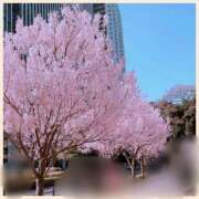 ヒメ日記 2026/03/27 11:54 投稿 もえな モアグループ川越人妻花壇