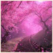 ヒメ日記 2026/04/01 23:20 投稿 もえな モアグループ川越人妻花壇