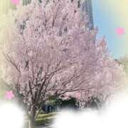 ヒメ日記 2026/04/07 09:08 投稿 もえな モアグループ川越人妻花壇