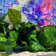 りこ こんにちは。 ハイブリッドヘルス西川口