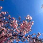 りこ ( ･-･̥ ) ハイブリッドヘルス西川口