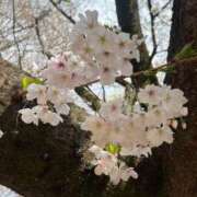 ヒメ日記 2026/03/31 10:42 投稿 りこ ハイブリッドヘルス西川口