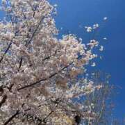 りこ おはようございます ハイブリッドヘルス西川口