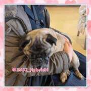 ヒメ日記 2025/02/09 01:13 投稿 さき ハイブリッドヘルス西川口