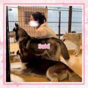 ヒメ日記 2026/04/27 20:19 投稿 さき ハイブリッドヘルス西川口