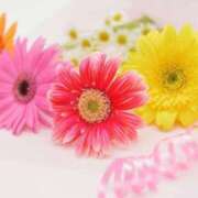 ヒメ日記 2025/02/04 07:49 投稿 れいこ 熟女の風俗最終章 所沢店