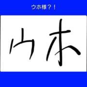 ヒメ日記 2024/12/29 06:43 投稿 このは 熟女の風俗最終章 所沢店
