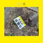 ヒメ日記 2025/05/22 06:31 投稿 このは 熟女の風俗最終章 所沢店