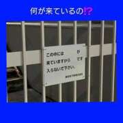 ヒメ日記 2025/08/11 06:23 投稿 このは 熟女の風俗最終章 所沢店