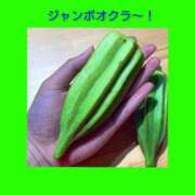 ヒメ日記 2025/08/18 06:23 投稿 このは 熟女の風俗最終章 所沢店