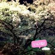 ヒメ日記 2026/04/30 20:43 投稿 かぐら Club Paradise（クラブパラダイス）