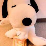 ヒメ日記 2024/12/19 09:08 投稿 川村ゆみ 恋する妻たち