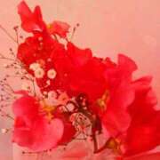 ヒメ日記 2025/01/21 08:18 投稿 川村ゆみ 恋する妻たち