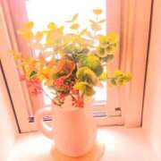 ヒメ日記 2025/03/11 07:48 投稿 川村ゆみ 恋する妻たち