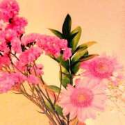 ヒメ日記 2025/04/07 07:48 投稿 川村ゆみ 恋する妻たち