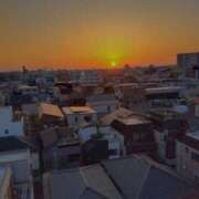 ヒメ日記 2025/04/22 06:58 投稿 川村ゆみ 恋する妻たち