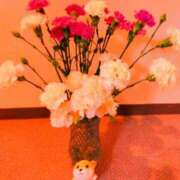 ヒメ日記 2025/05/12 08:08 投稿 川村ゆみ 恋する妻たち