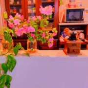 ヒメ日記 2025/05/15 09:58 投稿 川村ゆみ 恋する妻たち