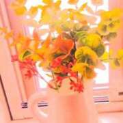 ヒメ日記 2025/05/22 08:28 投稿 川村ゆみ 恋する妻たち